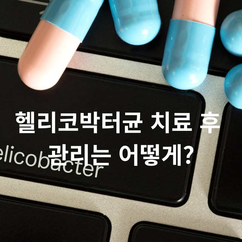 헬리코박터균 감염