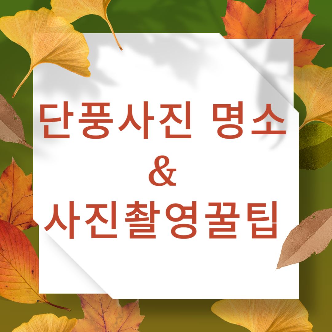 단풍 사진 명소 + 스마트폰 촬영 꿀팁