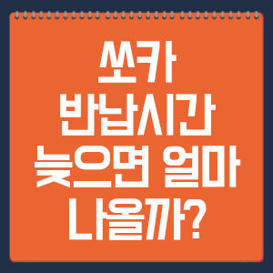 쏘카 반납시간 늦으면 얼마 나올까?
