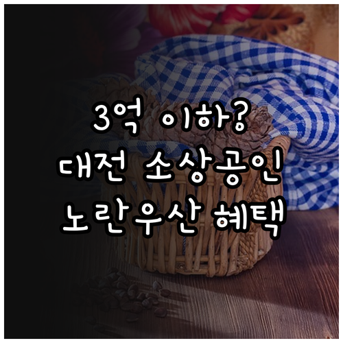 3억 이하 대전 소상공인이라면? 20..