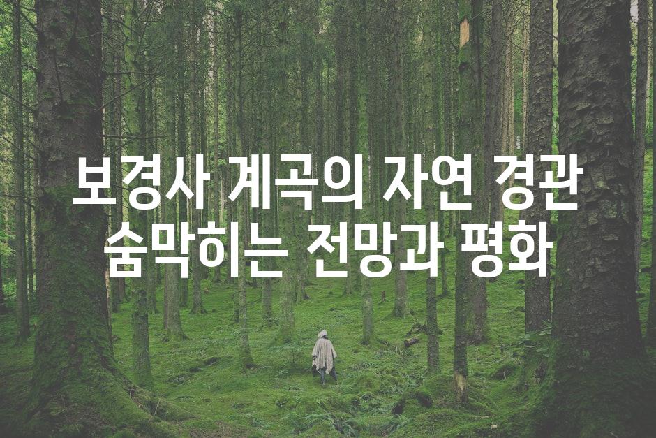 보경사 계곡의 자연 경관 숨막히는 전망과 평화