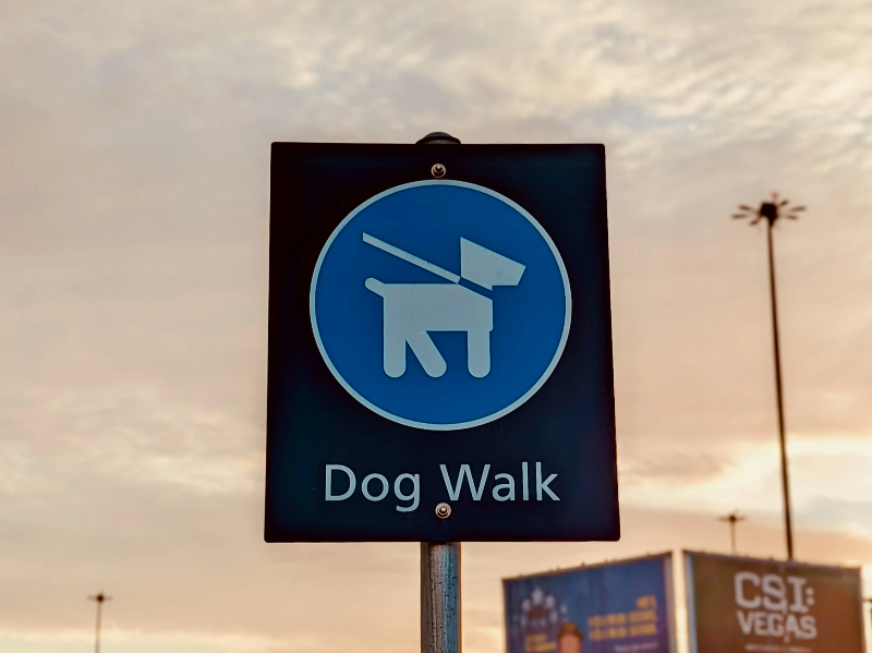 강아지 산책 도로사인