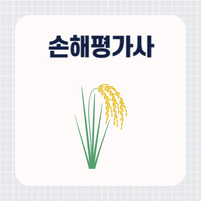 손해평가사 현실