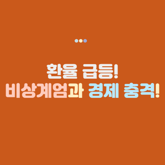 환율급등 비상계엄과 경제충격