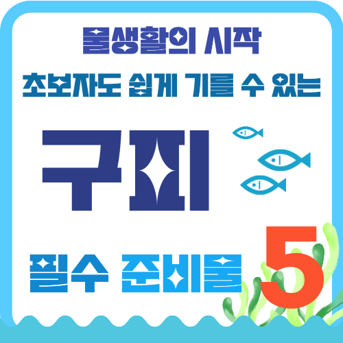 구피 키우기 준비물 썸네일