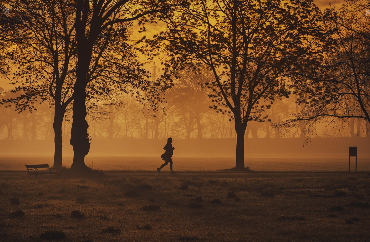 공원길 슬로우조깅 스트레스 호르몬감소 우울증 예방