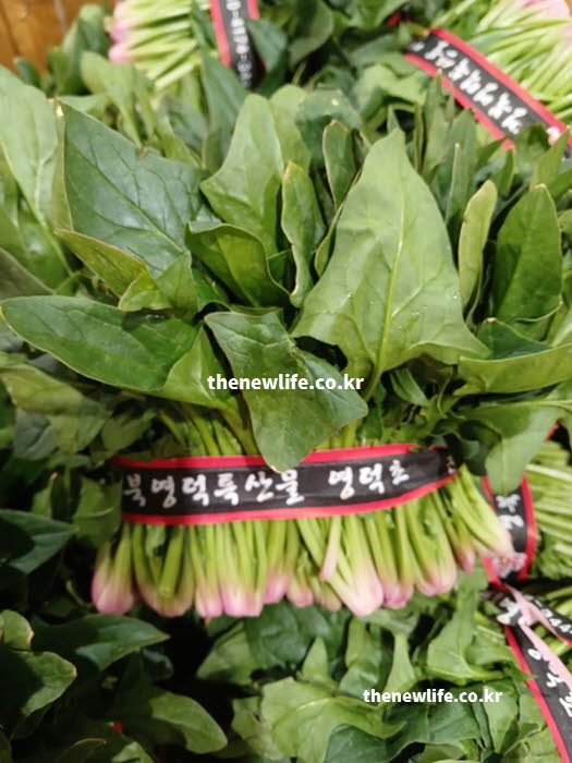 시금치 효능의 영양 손실을 최소화로 데쳐내는 조리법 실사진
