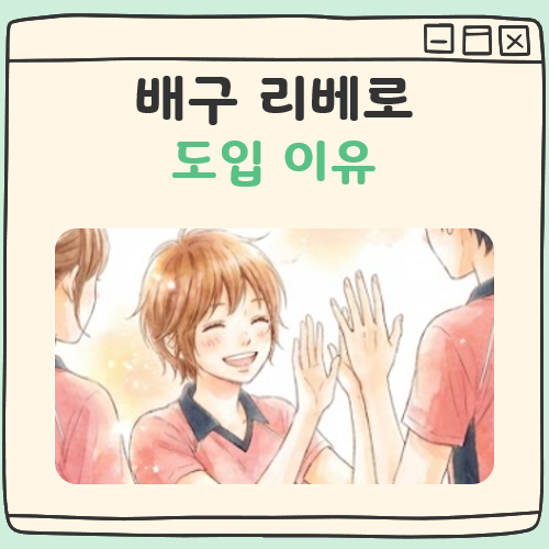배구 리베로 도입 대표 이미지