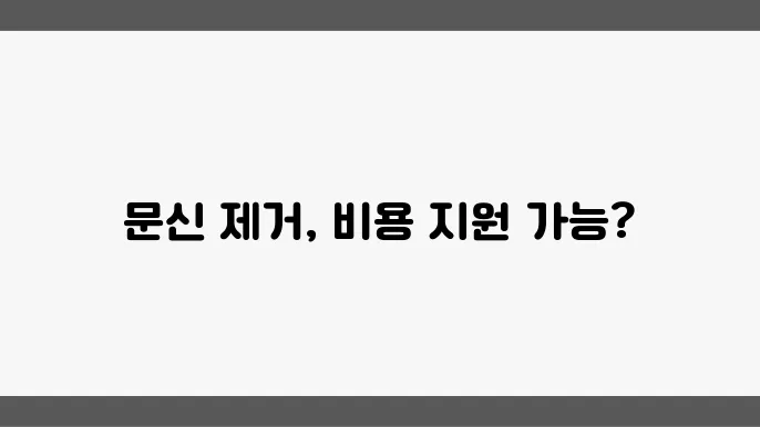 정부 지원 프로그램