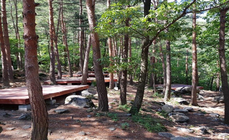 강원도 동해시 캠핑장(망상 제2오토캠핑장, 무릉계곡힐링캠프장, 추암오토캠핑장) - 이용시간, 이용요금(가격), 주차장, 장애인시설