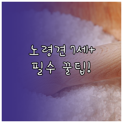 노령견 7세 이상 6개월 주기 건강검..