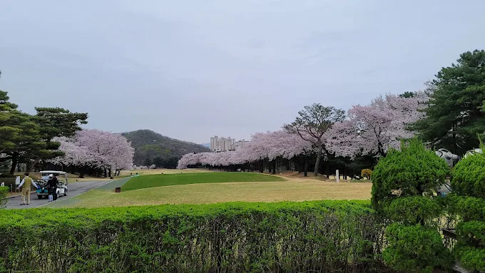 용인 태광컨트리클럽(태광CC) 소개 및 예약방법