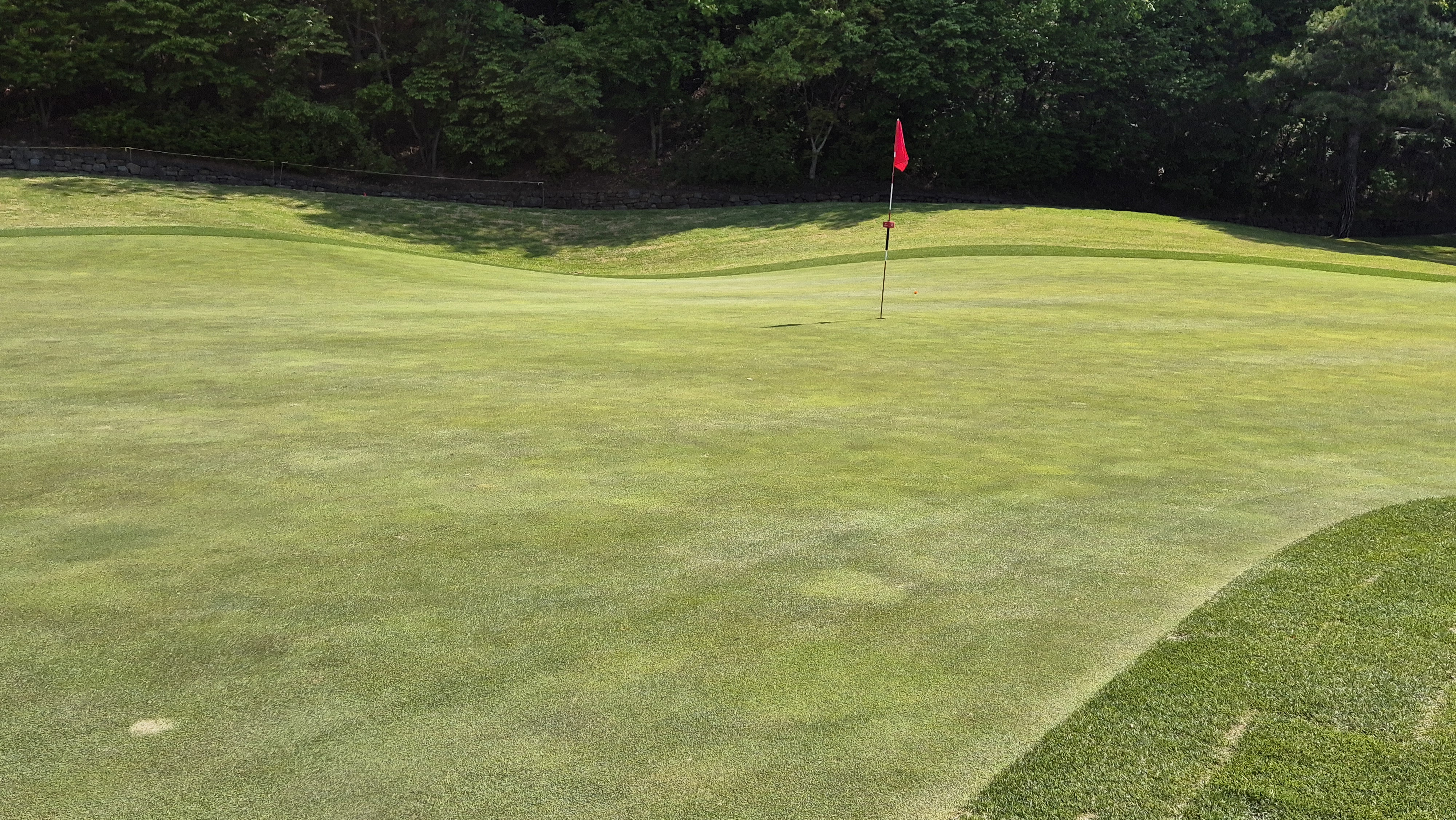 마에스트로cc 라운드 후기