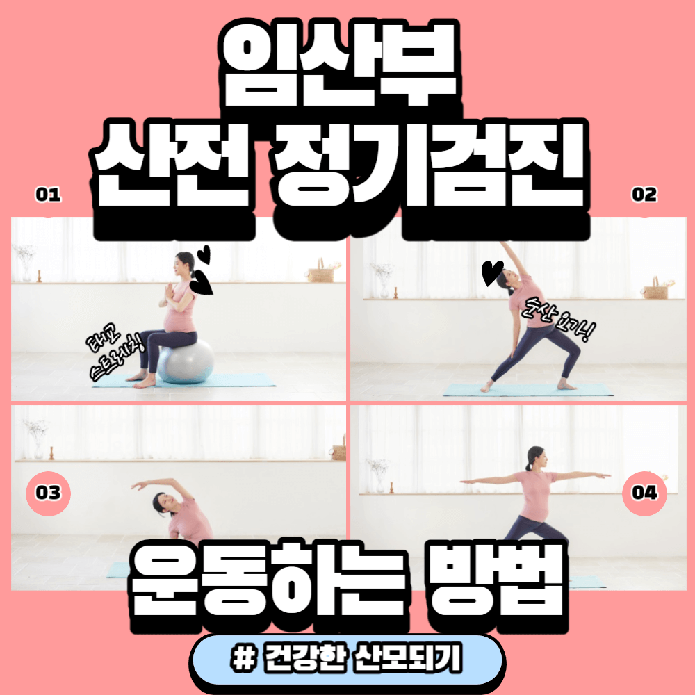 임산부 산전 정기검진, 운동하는 방법