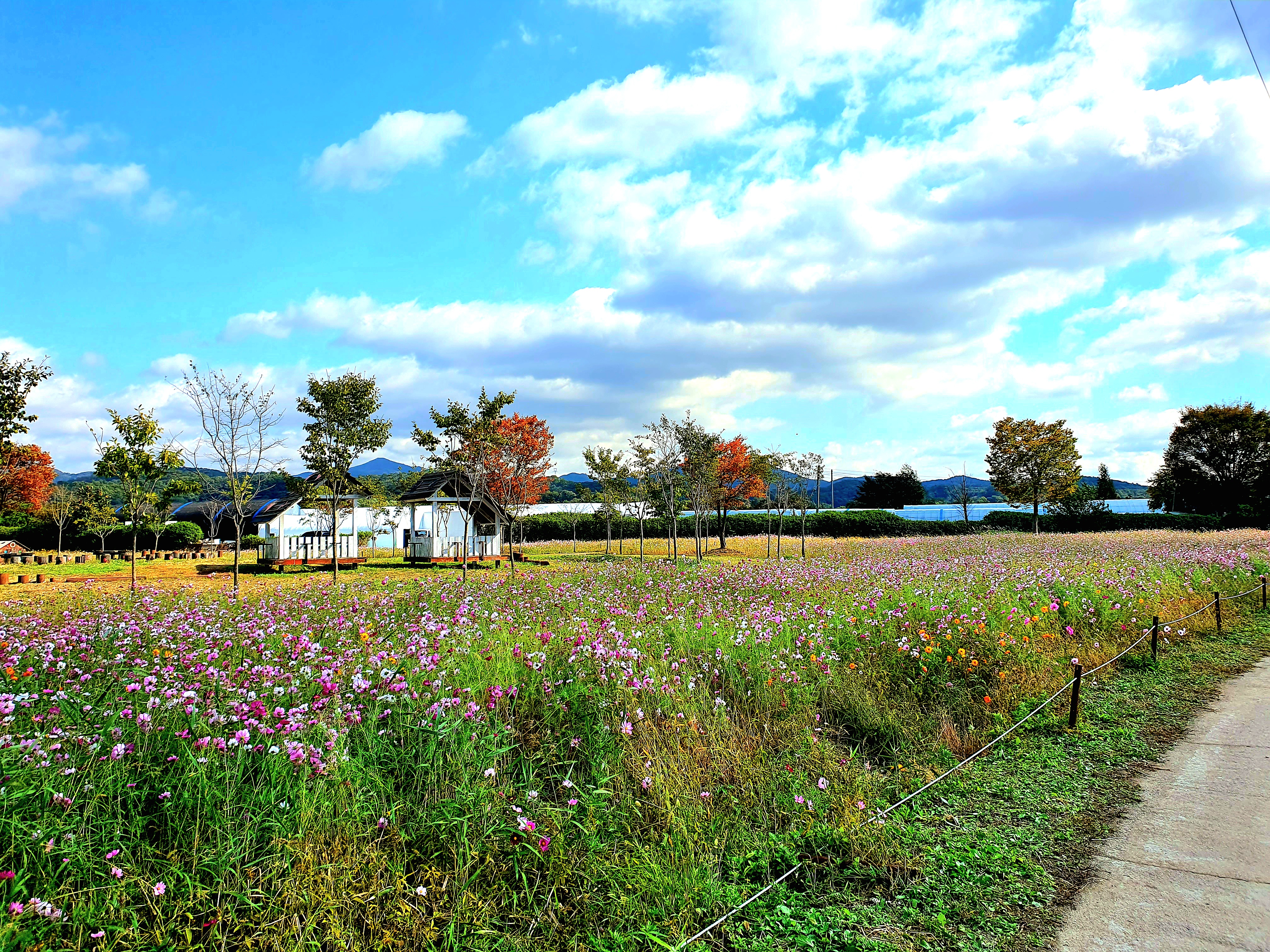 가을의-정서가-느껴집니다.