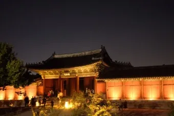 창경궁 야간개장 물빛연화 창경궁 야간개장 인터넷예매 예매 요령_12