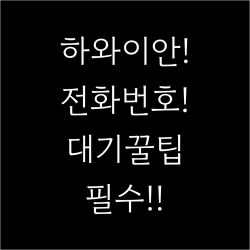 하와이안 항공 고객센터 전화번호 및 ..