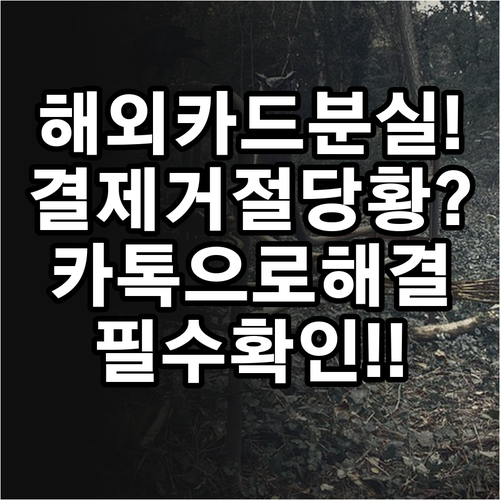 해외 카드 분실 및 승인 거절 시 모..