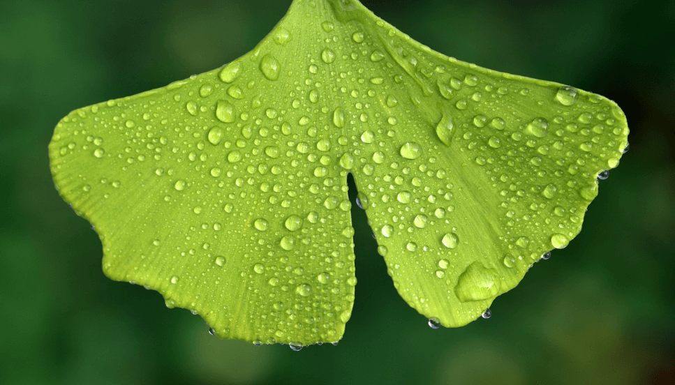 혈전에 좋은 음식 사진 - 9