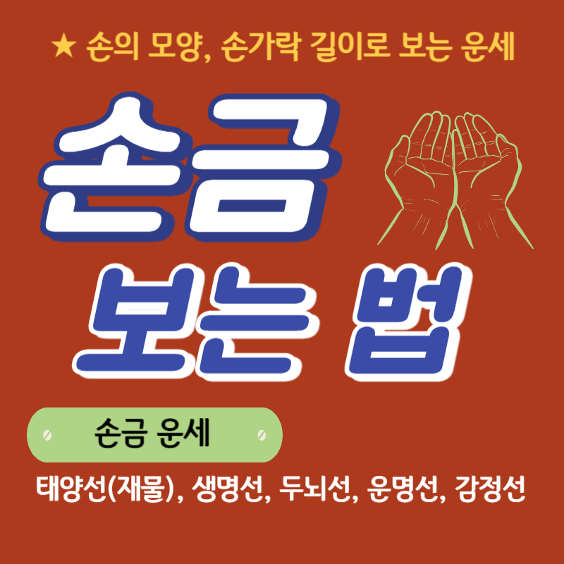 손모양&#44; 손금 보는 법(감정선&#44;두뇌선&#44;운명선&#44;생명선&#44;태양선 5가지 외 다양)