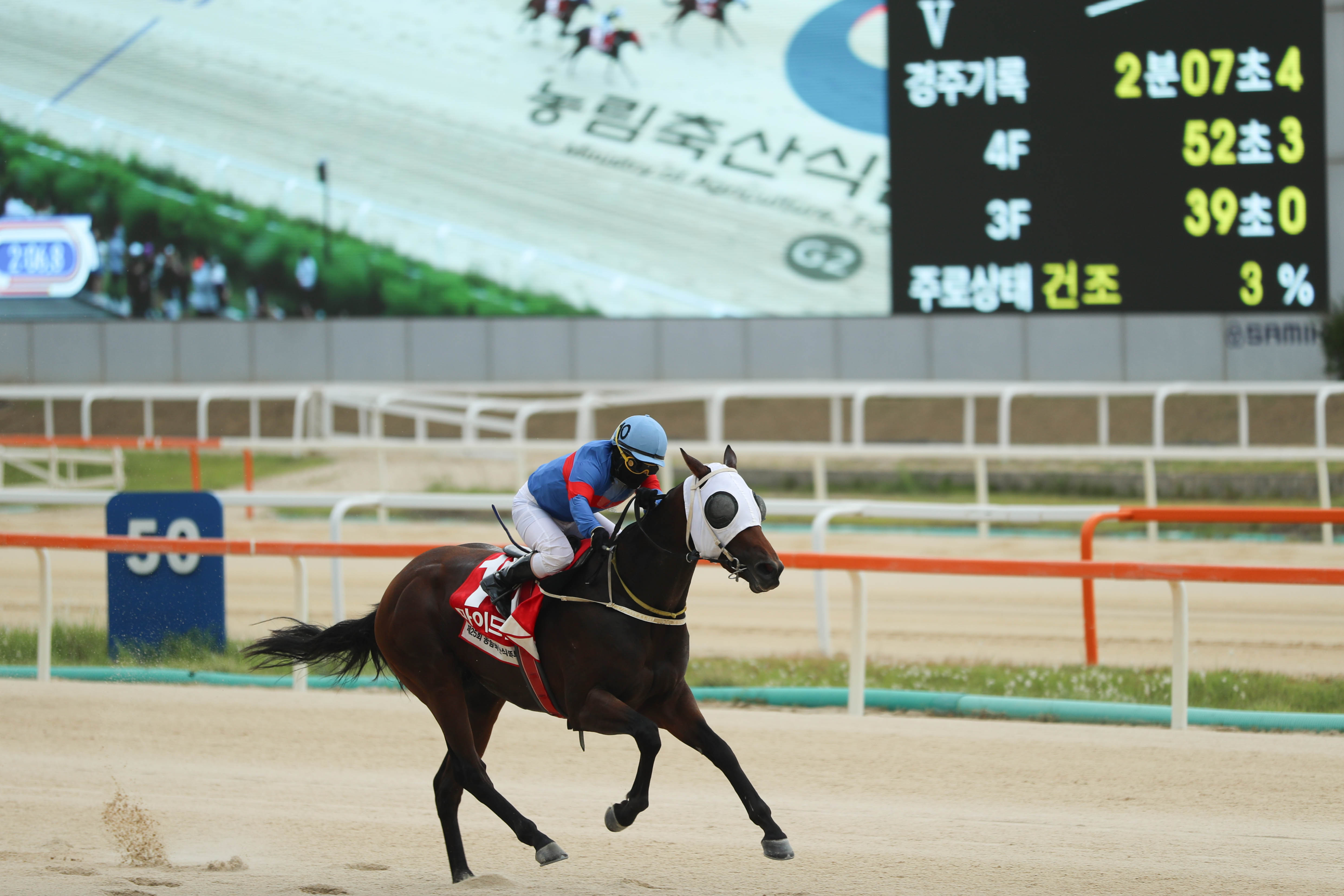 농림축산식품부장관배 우승마 마이드림데이