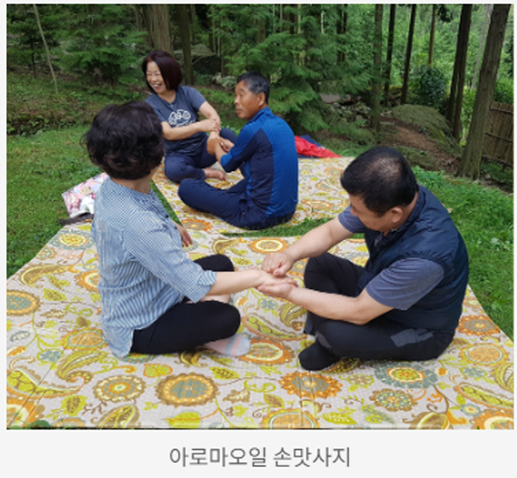 장흥 우드랜드 편백숲