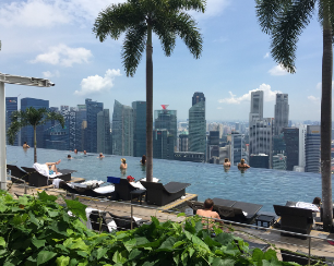 싱가포르-입국신고서