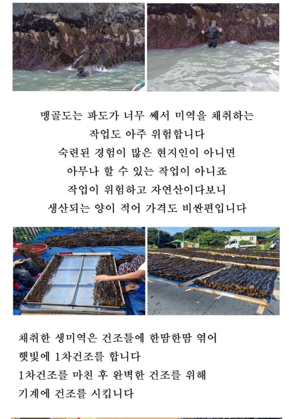 극한직업-맹골도-자연산-돌미역