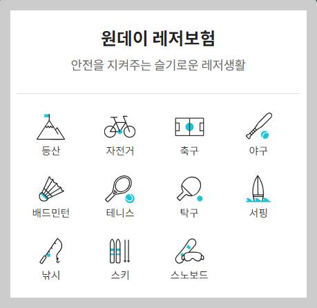 레저 스포츠 등산 낚시 자전거 축구 야구 배드민턴 테니스 탁구 서핑 스키 스노보드 원데이 보험