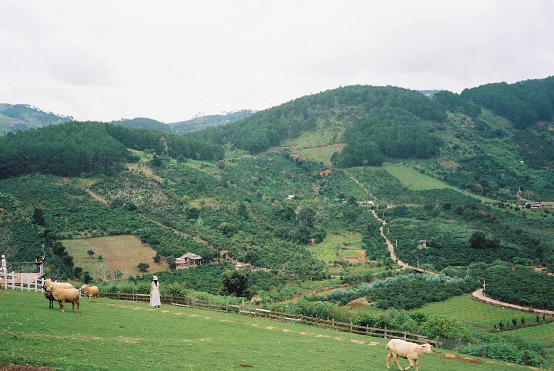 Ciseco