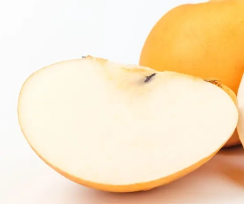 환절기 비염에 좋은 음식