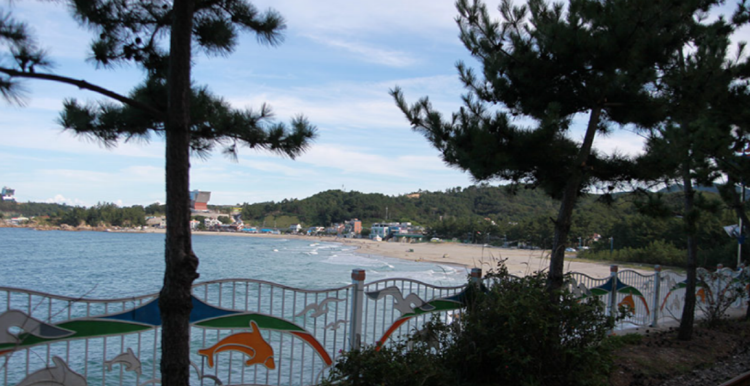 삼척 레일바이크