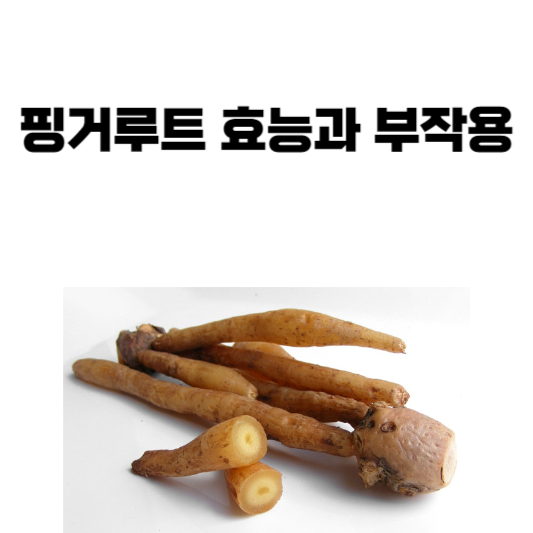 핑거루트 효능과 부작용