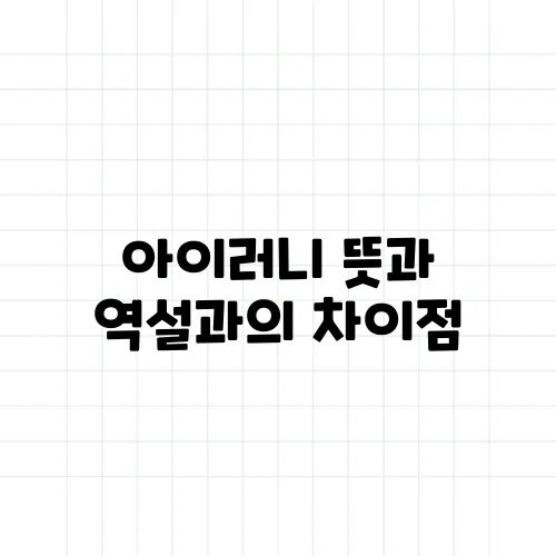 아이러니 뜻과 역설과의 차이점