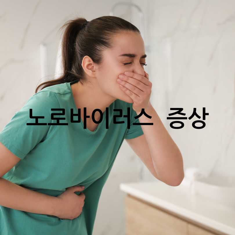 노로바이러스증상