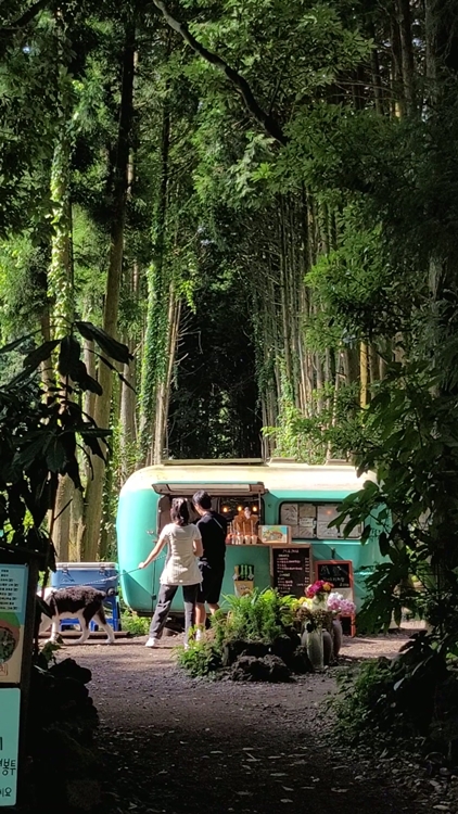 제주-가족여행-코스-마음디톡스-비밀의 숲-휴양림