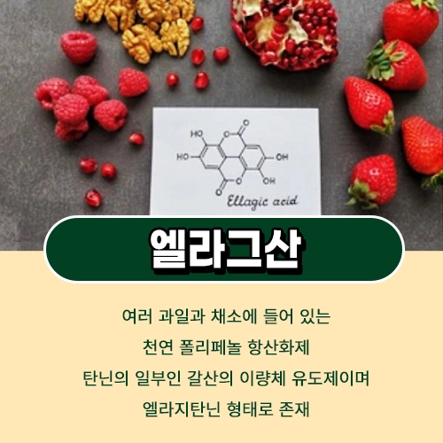 엘라그산