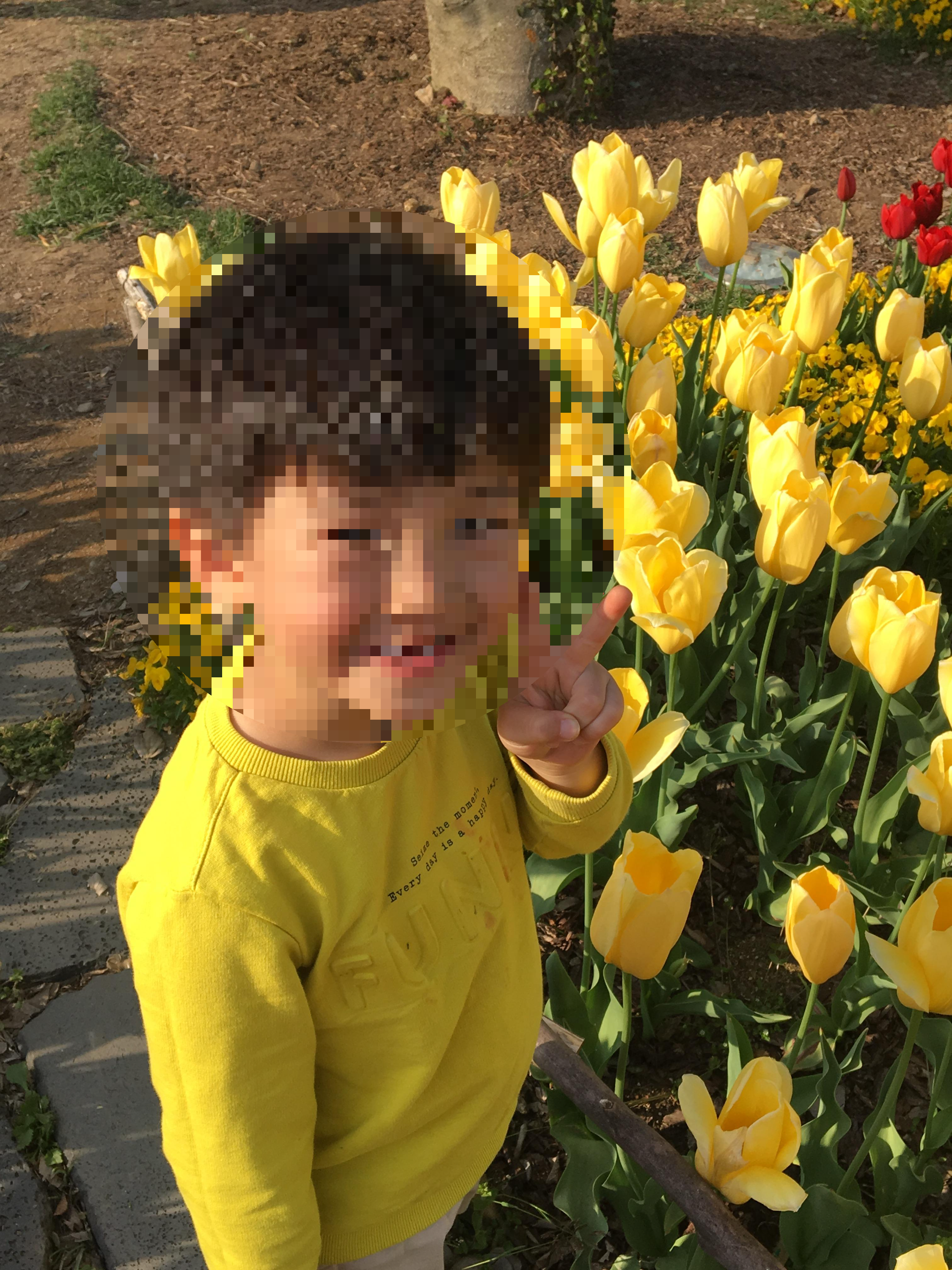 순천만국가정원에서 튤립과 함께 사진 찍는 아이