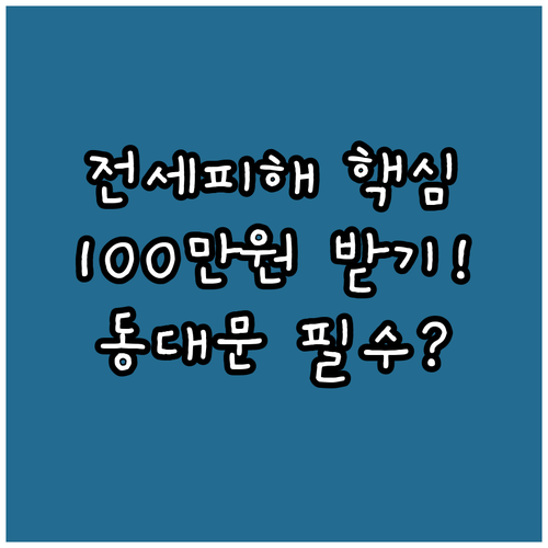 동대문구 전세피해 임차인 2025 주..
