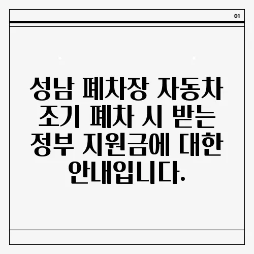 성남 폐차장 자동차 조기 폐차 시 받는 정부 지원금에 대한 안내입니다.