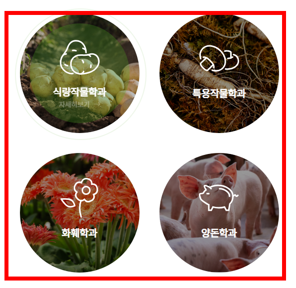 농지원부 자격조건 알아보기