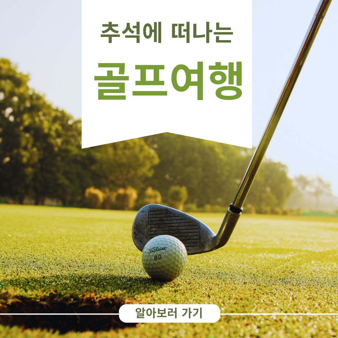 골프앱
