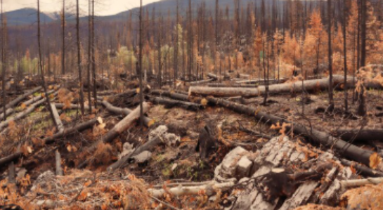 첨단 기술의 발전과 방재 시스템 정리