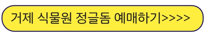 거제-식물원-가볼만한-곳