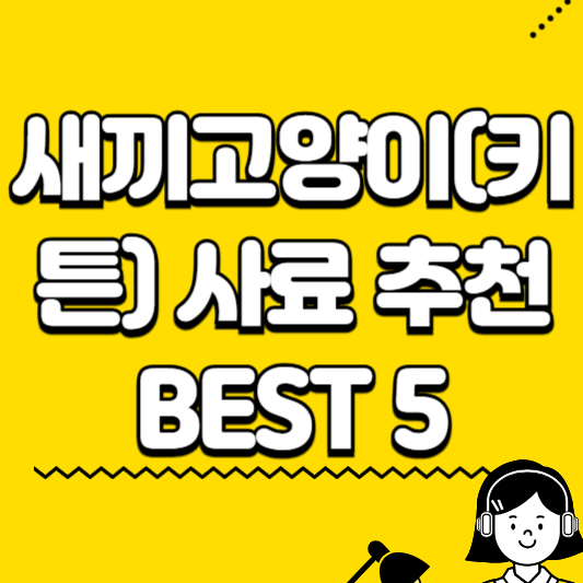 새끼고양이(키튼) 사료 추천 BEST 5