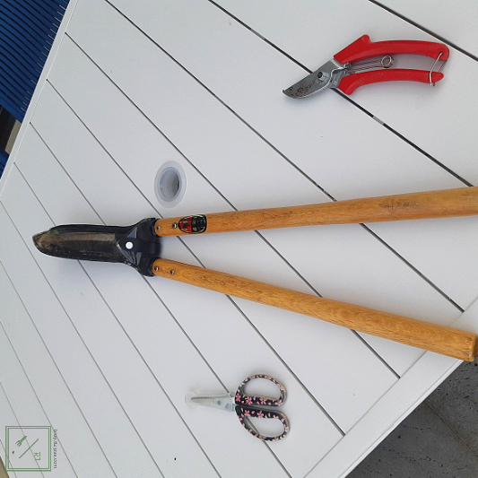 전지가위가 테이블 위에 놓여 있습니다