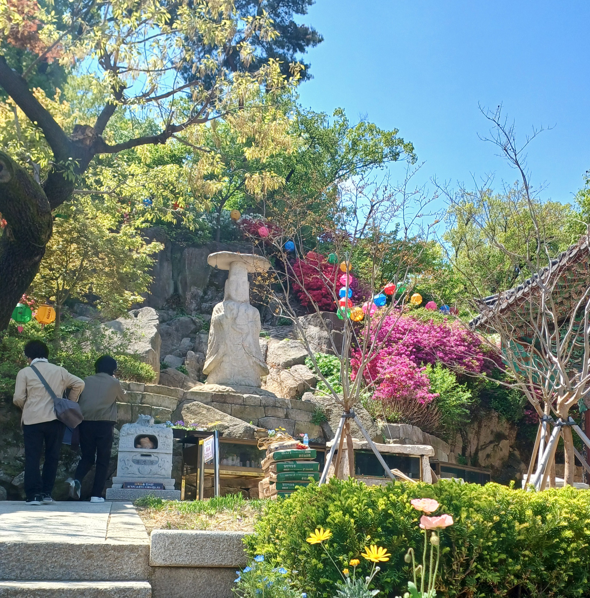 2025-부처님오신날-21-연등