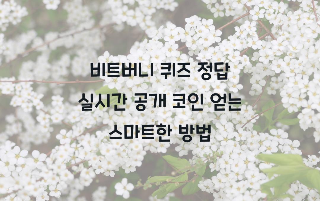 비트버니 퀴즈 정답 실시간 공개! 앱으로 코인 모으고 간단히 수익 내기