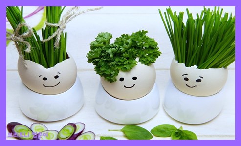 항산화 물질이 많은 음식 사진