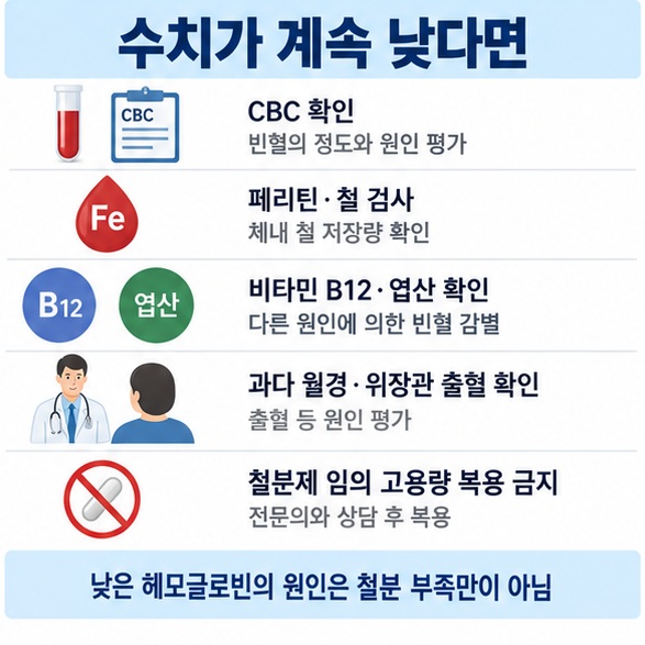 헤모글로빈이 낮을 때 CBC 페리틴 B12 엽산 출혈 원인을 확인하도록 정리한 인포그래픽